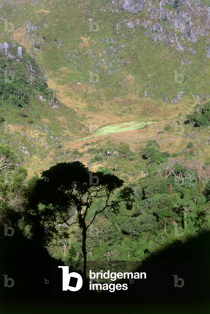 Thailand: A remote poppy field (the lighter green patch in the middle of the picture) on Doi Luang Chiang Dao, northern Thailand, c. 1995