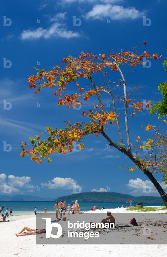 Thailand: Hat Tham Phra Nang beach, Krabi Coast