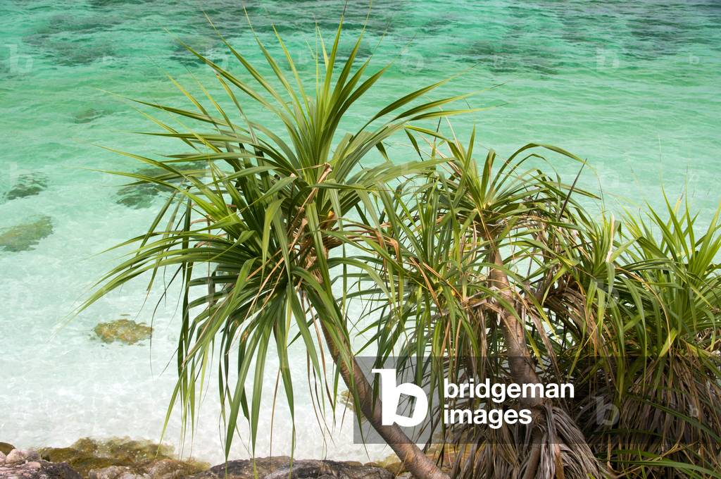 Thailand: Ko Tarutao Marine National Park, Ko Yang