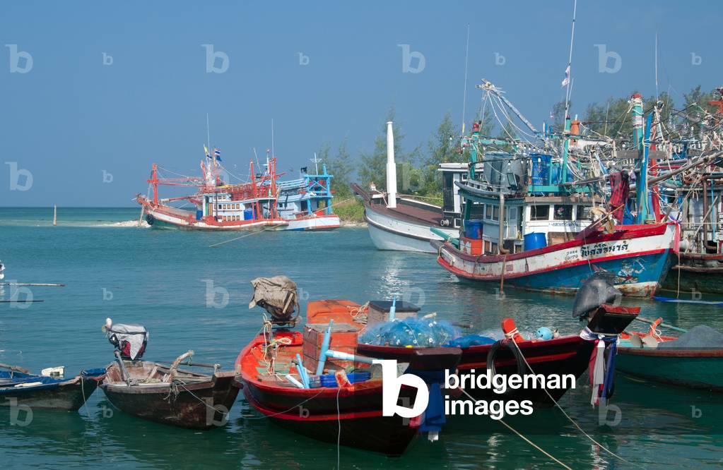 Thailand: Fishing fleet at Si Thanu Bay (Ao Si Thanu), Ko Phangan