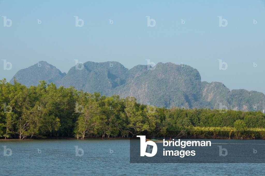 Thailand: Longtail boat in the mangroves, Ao Phang Nga (Phangnga Bay) National Park, Phang Nga Province
