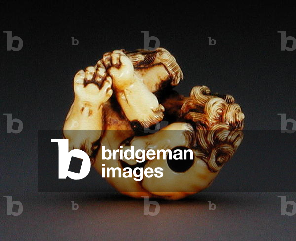 Netsuke depicting a shishi, c.1780-1800 (ivory) (base of 193826)