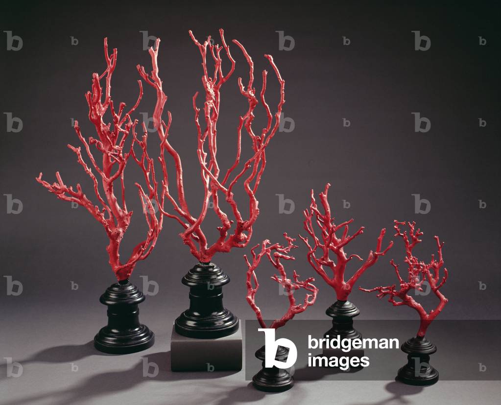 Set of wooden drawing models imitating coral, from the University of Florence (wood)
