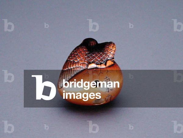 Netsuke, depicting crow emerging from an egg, c.1840 (wood) (for frontal view see 194417)