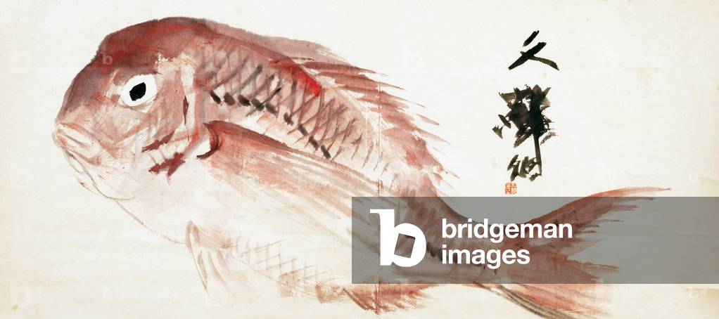 Sea Bream (Tai), 1863 (ink & colour on paper; mounted as a hanging scroll)
