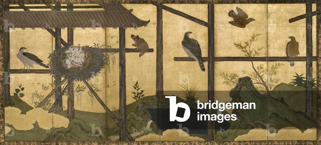 Goshawk Mews, c. 1675 (ink & colour on paper)