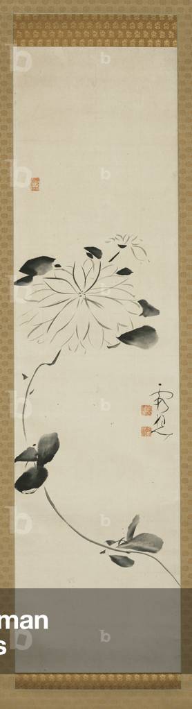 Clematis, 18th century (ink on paper, mounted as a hanging scroll)
