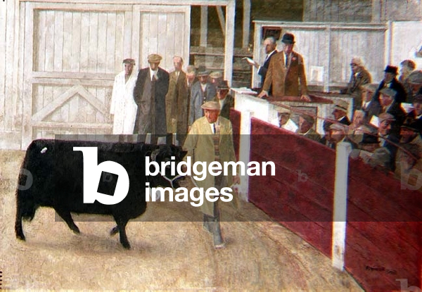 Black Bull in the Ring (oil on canvas_
