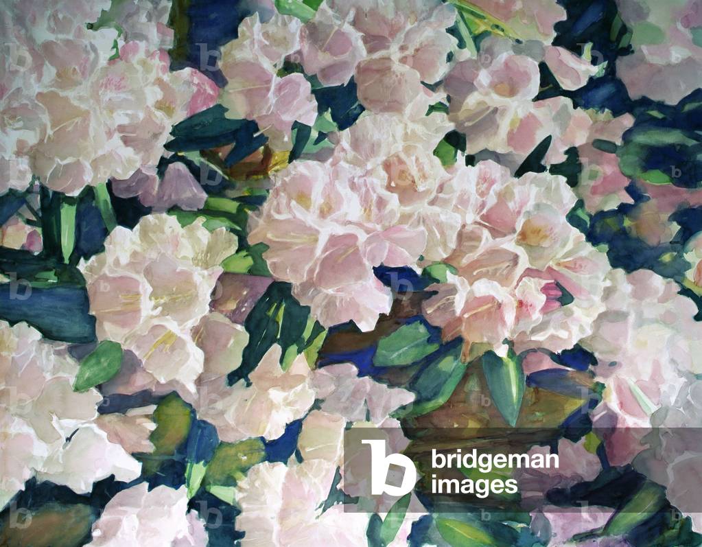 Papaveri, 1991 (senza carta)