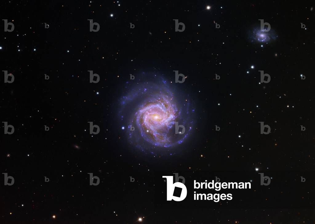 Spiral Galaxy M61 in Virgo - Spiral galaxy M61 in Virgo - The spiral galaxy M61 (NGC 4303) is located about 60 million years away - light from Earth. It is one of the largest galaxies in the Virgin's cluster, measuring 100,000 years - light. The SabBC spiral galaxy M61 is one of the larger galaxies in the Virgo cluster, with a dimension some 100 000 light - years (6 arc minutes) across, comparable to the size of our own Galaxy