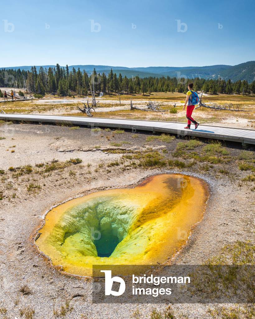 Belgian Pool - Yellowstone - 2017 - Tourist near Belgian Pool, a hot spring located in the Upper Geyser Basin of Yellowstone National Park. August 2017. A hiker walks by the Belgian Pool, in Yellowstone National Park, USA