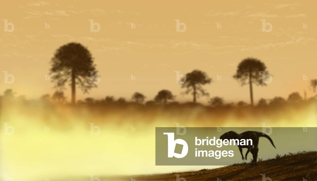 Eoraptor - The Eoraptor (Eoraptor lunensis) is a small bipede dinosaur, omnivorous, who lived during the Upper Triassic, between 230 and 225 million years BC. Eoraptor lunensis was one of the world's earliest dinosaurs. It was a two-legged carnivorous theropod that lived around 228 million years ago, in what is now the northwestern region of Argentina.