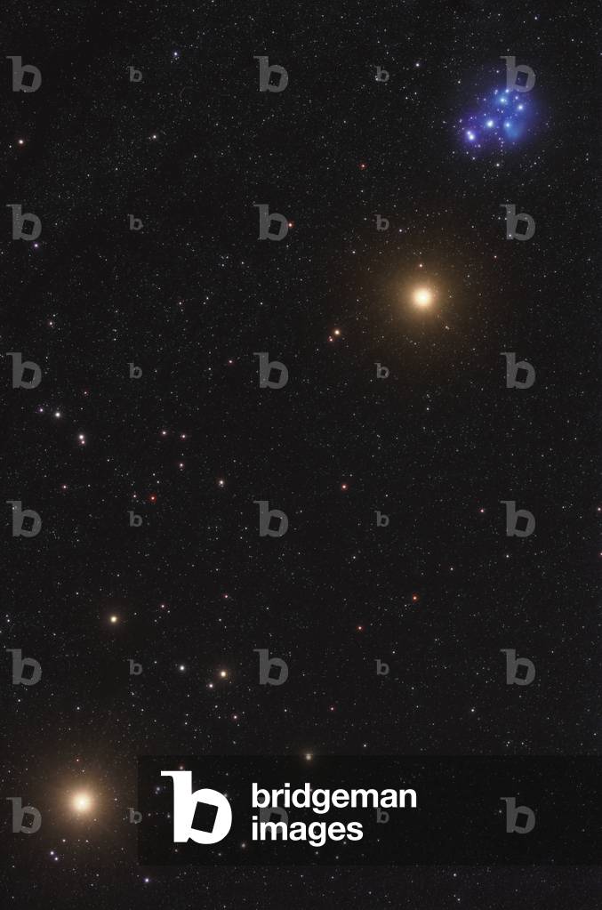 Mars in Taurus - March 2021 (photo)