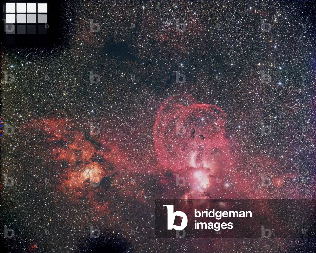 Nebulae NGC 3603 and NGC 3576 in Carene - NGC 3576 and 3603 in Carina - NGC 3576 (right) is located about 7000 years - light from Earth; NGC 3603 (left) is twice as far away. These two nebulae are located in the constellation Carene. Image obtained by Siding Spring's 3.9m telescope. These two star - formation regions appear side by side in the sky and seem to be linked as parts of an extensive nebula. However, the apparent intimacy is line - of - sight effect because these two objects are at quite different distances from the Sun. The curious looped nebula NGC 3576 is about 7000 light years from us while its neighbour NGC 3603 is more than twice as far away. That NGC 3603 is the more distant is confirmed by its colour, which is a ruddier red than the pinkish hue of NGC 3576. The change in colour is due to absorption of the blue - light component of the nebulosity by dust particles in the much longer line of sight. This effect is known as interstellar reddening, though it would be better described as 'de - blue'. The wide field shows the calibration step wedges that provide photometric and colour balance information