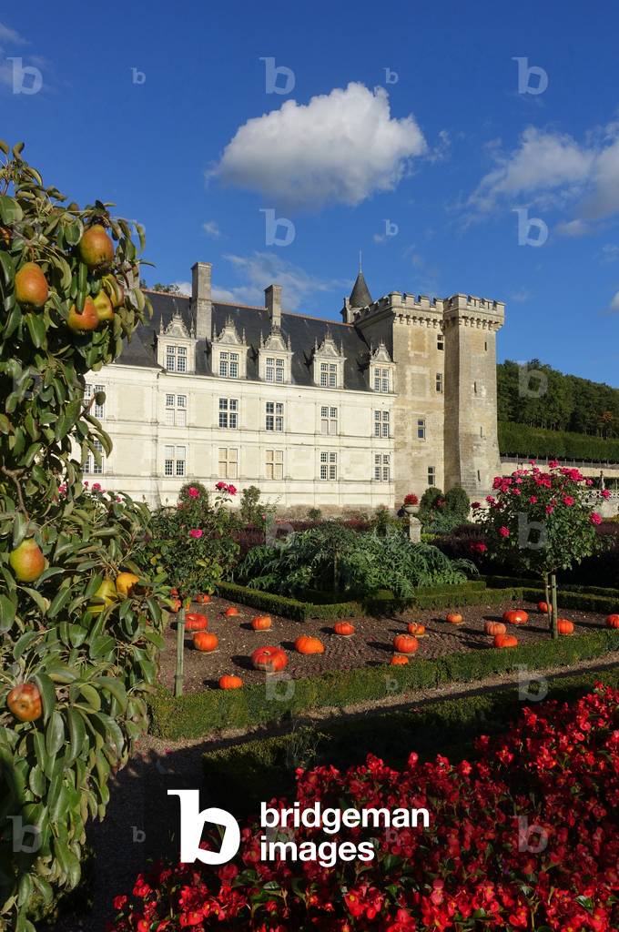 Chateau de Villandry: Chateau de Villandry is a castle of the Loire of Renaissance architecture, situated 15 km from Tours. The Chateau de Villandry is located in Villandry, in the department of Indre-et-Loire, France. It is especially known for its beautiful gardens