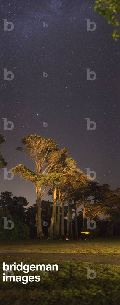 Pegase Constellation - Constellation of Pegasus - The large edge of Pegase is visible just above the trees. In fact, the star that forms its left corner is part of the Andromede constellation. Under Pegase, the Pisces, masks partly by trees. The upper left zigzag is the constellation of Lizard. August 18, 2009. The Great Square of Pegasus is visible just above trees. August 18, 2009