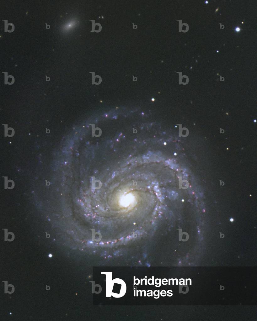 Spiralgalaxie M100 in Berenice Haar - Spiralgalaxie M100 in Koma Berenizen - Die Spiralgalaxie M100 (NGC 4321)
