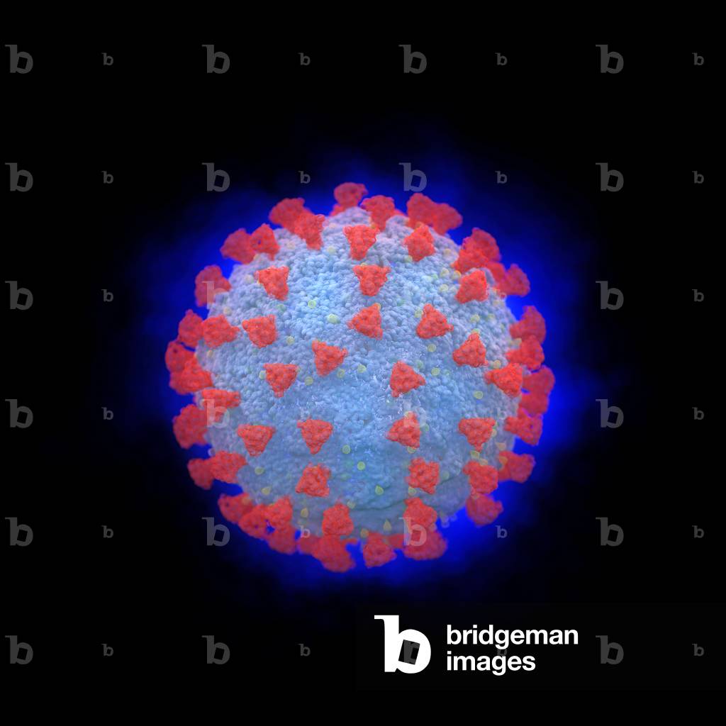 Speculative illustration of a coronavirus