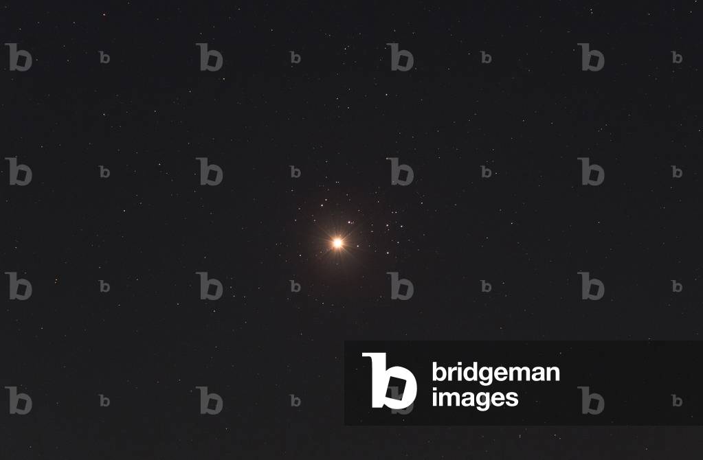 Venus crosses the cluster of Pleiades, April 3, 2020 (photo)