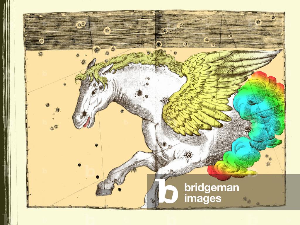 Constellation Pegase - Constellation of Pegasus - Uranometria by Johannes Bayer 1661 Recolorise by us Uranometria of Johannes Bayer 1661. Recolored