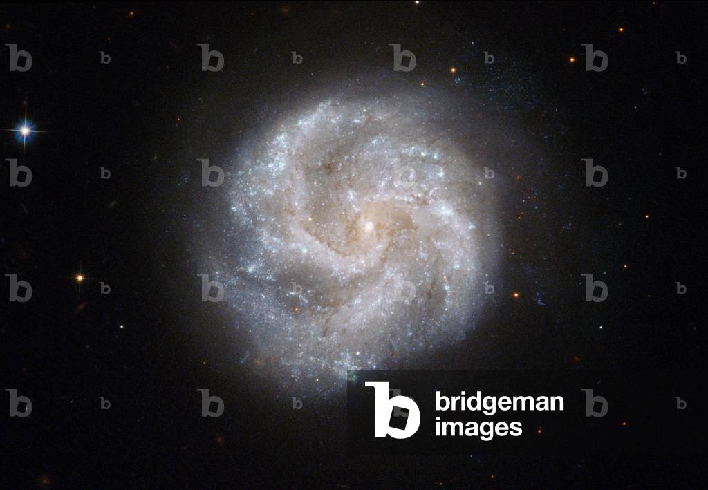Spiral galaxy IC 391 in the Giraffe - Spiral galaxy IC 391 in Camelopardalis - Spiral galaxy IC 391 located about 80 million years ago - light in the constellation Giraffe. Image obtained with the Hubble Space Telescope (HST). IC 391 lies about 80 million light - years away in the constellation of Camelopardalis (the Giraffe) in the far northern part of the sky. The British amateur observer William Denning discovered it in the late nineteenth century, and described it as faint, small and round. Image taken with the Hubble space Telescope (HST)