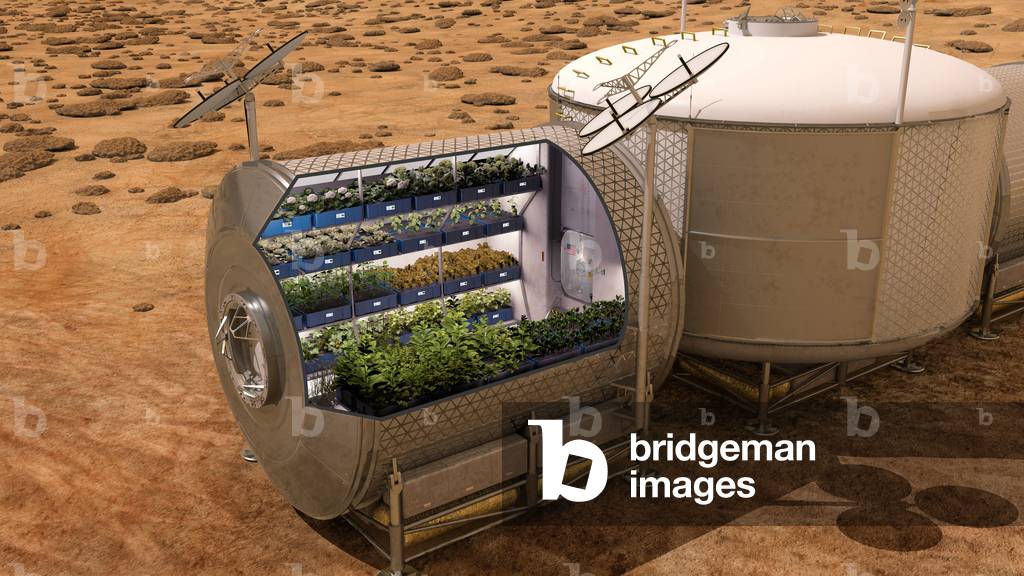 Vegetable Garden on Mars-Illustration - Mars Exploration - Illustration: Nasa develops the idea of growing food on other planets. NASA plans to grow food on future spacecraft and on other planets as a food supplement for astronauts. Fresh food, such as vegetables, provide essential vitamins and nutrients that will help enable sustainable deep space pioneering.