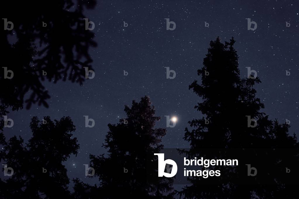 Planet Mars - Planet Mars - The bright planet Mars in opposition seen on January 15, 2010. The bright planet Mars, seen during its opposition on January 15 2010