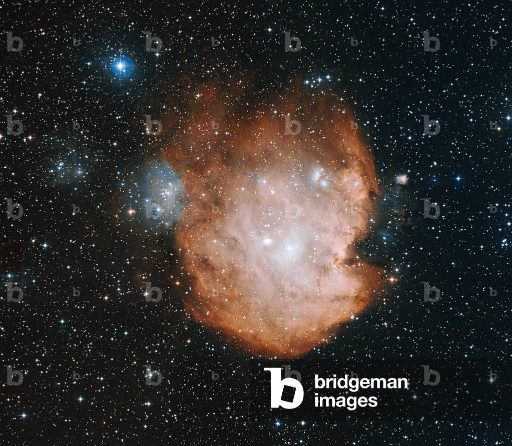 Nebula NGC 2174 in Orion - North is at top. This large and bright nebula surround open cluster NGC2175 located about 1.5 degrees west of chi2 Orionis. Sometime is also called Monkey Nebula. This image is based on data acquired by the Oschin Telescope at the Mount Palomar Observatory