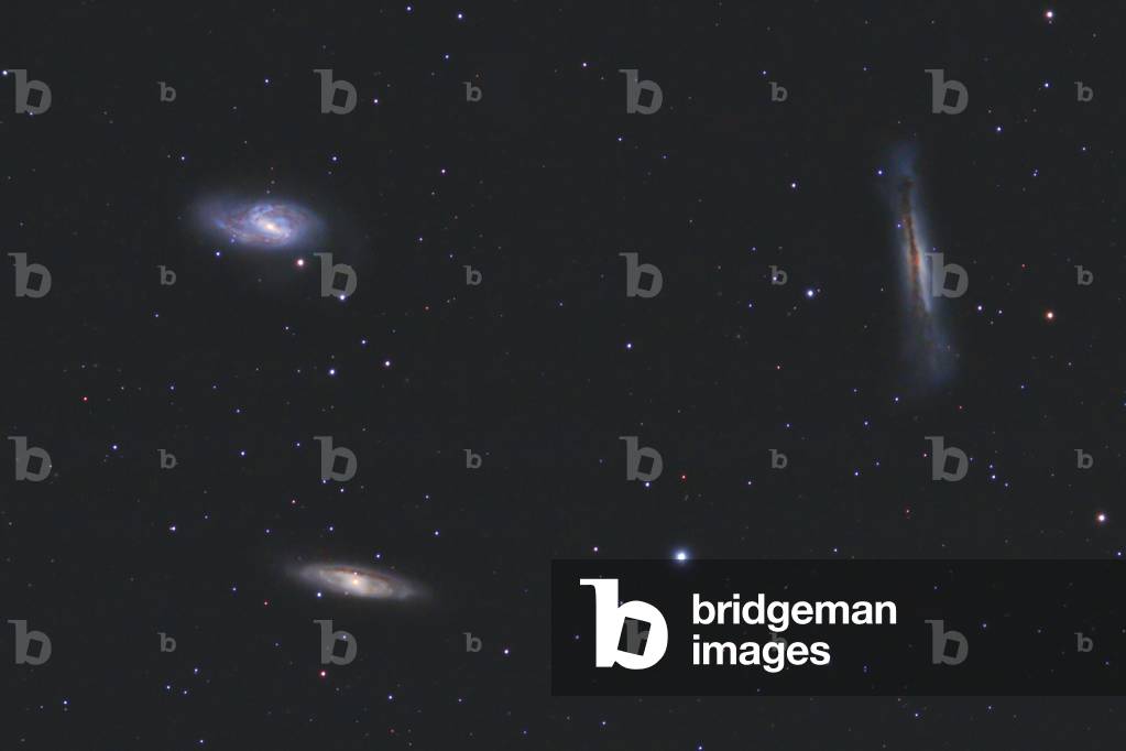 Leo Triplet (spiral galaxies M65 - M66 - NGC 3628) - Leo Trio of Galaxies, M65, M66, NGC 3628 - M66, with its neighbors M65 and NGC 3628, forms a remarkable triplet of galaxies, called the Lion Triplet or the M66 Group, located at a distance of about 35 million years - light. All three are spiral galaxies. This trio of galaxies in Leo is located at a distance of about 35 million light years. M66 is at upper left, M65 is below it at lower right, and NGC 3628 is at right. All are normal spiral galaxies, but NGC 3628 is seen edge - on, with a prominent dust lane obscuring the central portion of the galaxy