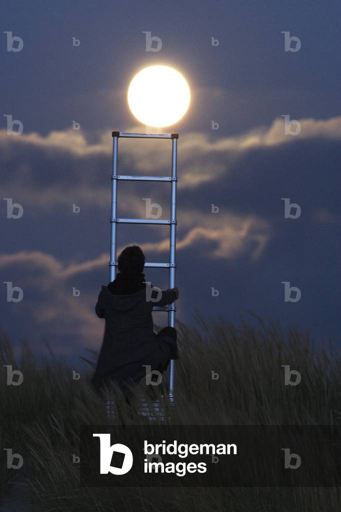 A ladder to reach the Moo
