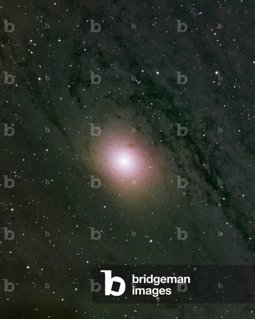Center Of The Andromede Galaxy M31 Center Of The Andromeda Galaxy 