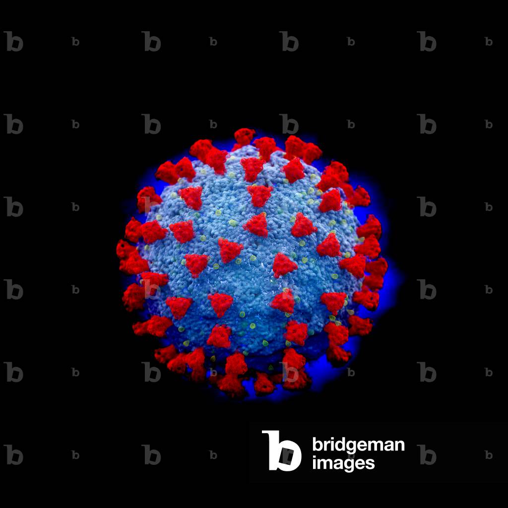 Speculative illustration of a coronavirus
