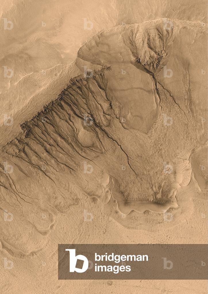Gullies on Mars - Gullies along a wall of an impact crater located in the large Newton impact crater. These ravines are thought to indicate the presence of liquid water in the Martian basement. Mosaic of false-coloured images obtained by the Mars Global Surveyor probe from August 2001 to January 2002