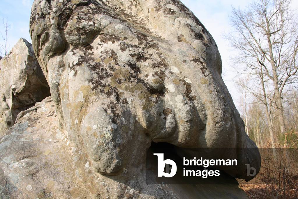 La Hottee de Gargantua - Aisne - France - Chaos of gre blocks with stunning shapes. Molinchard, Aisne, Picardy. Strange sandstone rocks. Molinchard, Aisne, Picardie, France