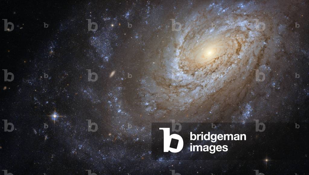 Galaxy NGC 4651 (Arp 189) seen here by the Hubble space telescope (HST) (photo)