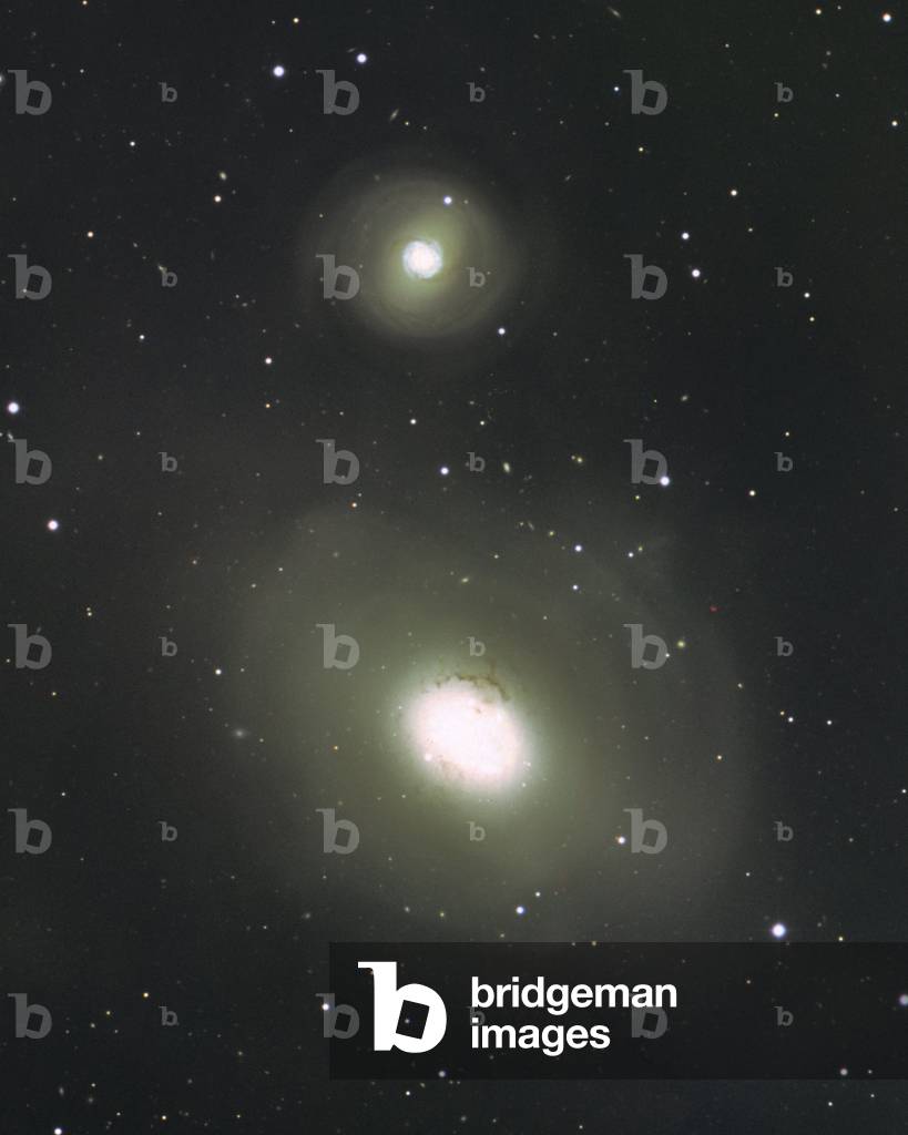Galaxies NGC 1316 and 1317 in the Furnace - Galaxies NGC 1316 and NGC 1317 in Fornax - The giant elliptical galaxy NGC 1316 (below) absorbed a spiral galaxy a few billion years ago. A few bands of dust visible in the centre are the traces of this feast. A spiral galaxy, NGC 1317, is visible just above it. These galaxies resident more than 60 million years ago - light in the array of galaxies of the Furnace. Also called Fornax A, NGC 1316 is one of the strongest radio sources in the sky. Image made with Siding Spring's 3.9m telescope. NGC 1316 - 17 are on the outskirts of a nearby cluster of galaxies in the southern constellation of Fornax, at a distance of about 60 million light years. At first glance, the optical image of these galaxies does not seem to be very unusual. However, closer inspection shows that the larger galaxy, the elliptical NGC 1316, has distinct dust lanes in its inner regions, and NGC 1317 is a strangely distorted spiral. The dust lanes strongly suggest that NGC 1316 has recently absorbed a dusty spiral galaxy, and that the merger is not yet complete. The colour picture also hints at faint arcs or shells of stars in the outer parts of the galaxy, another strong indication of recent merger activity. A much deeper picture reveals enormous loops and shell - like structures extending far beyond this photograph, again supporting the merger hypothesis. If any more evidence were needed, it is provided by radio astronomers, who see Fornax A as one of the strongest and largest sources in the sky, with radio lobes extending over several degrees of sky. However, unlike the faint optical extensions, the radio lobes extend roughly E - W across the sky. There is another southern galaxy with many of these characteristics - - dusty elliptical, faint outer shells and somewhat detached from a cluster of galaxies. This is NGC 5128, Centaurus A, a confimed merger remnant