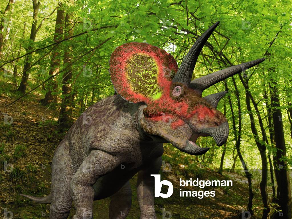 Colorful Triceratops - A ten ton Triceratops wonders a Cretaceous forest 68 million years ago in what is today the Western United States