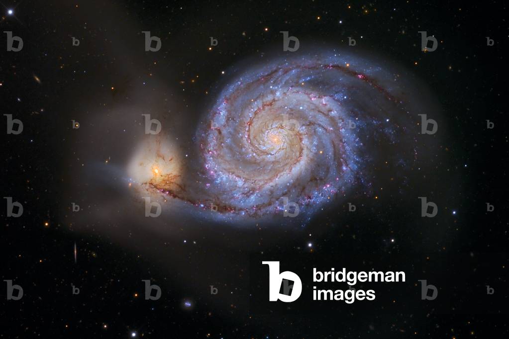 Spiral Galaxy M51 in Hunting Dogs - Spiral galaxy M51 in Canes Venatici - The spiral galaxy M51 (NGC 5194) is located about 31 million years ago - light from Earth. This galaxy is double; two galaxies interact: the largest, NGC 5194, the smallest NGC 5195. M51 (NGC 5194) is located 31 million light - years away in the constellation Canes Venatici (the Hunting Dogs). It was one of the first discoveries made by Charles Messier in 1773, and it was the first galaxy where spiral structure was observed, by Lord Rosse in 1845. A faint companion galaxy, NGC 5195, seen here to the left of M51, is interacting with M51