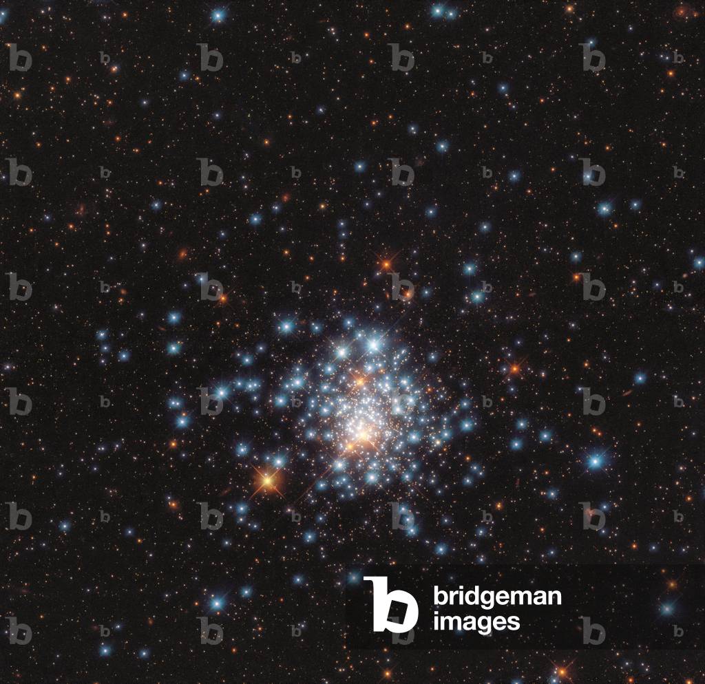 Star Cluster NGC 1805 in the Dorado