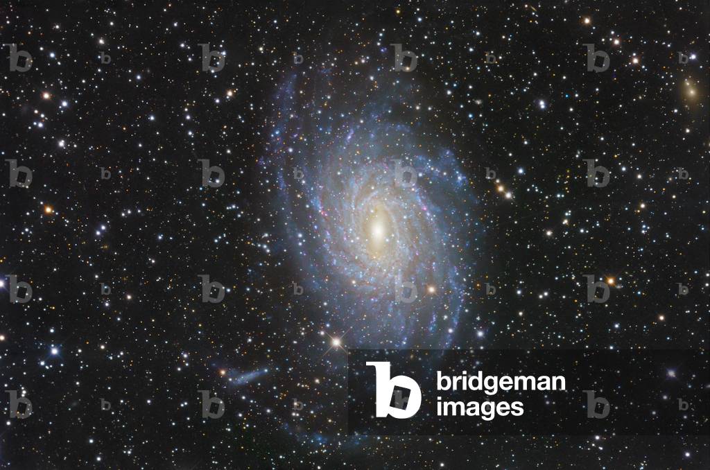 Spiral galaxy NGC 6744 in the constellation Peacock - Spiral galaxy NGC 6744 in Pavo - The galaxy NGC 6744 is about 25 million years away - light from Earth. Image obtained with a telescope of 35 cm, 12 hours of poses. NGC 6744 is a majestic spiral galaxy in the southern constellation of Pavo. It has great similarities to the Milky Way galaxy in both form and structure. It lies at a distance of approximately 25 million Light Years. At its northern tip NGC 6744 is interacting with a dwarf companion galaxy much in the same way the Milky Way interacts with the Large Magellanic Cloud. The northernmost spiral arm is most likely being stretched and its stars and gas stripped due to tidal pull from the dwarf companion. Likewise the stars of the companion will likely be engulfed and the companion will ultimately merge with NGC 6744 at a far off future time. Image taken with 14.5”” RCOS telescope, 12 Hours of exposure