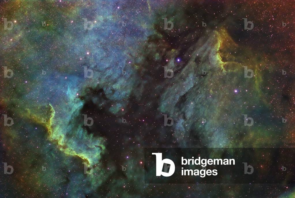 North America and Pelican nebulae in Cygnus - North America and Pelican nebulae in Cygnus - The North America nebula (NGC 7000) is a large emission nebula located near the Deneb star in the constellation Swan. To the right of NGC 7000, the Pelican nebula (IC 5070). Image obtained by combining light through 3 different filters that highlight the oxygen in blue, hydrogen in green, and sulfur in red. North America (NGC 7000) is an emission nebula close to Deneb in the constellation Cygnus. On its right is the Pelican nebula (IC 5070). Image made in combining the light from 3 different filters tracing emission from oxygen (blue), hydrogen (green), and sulphur (red)