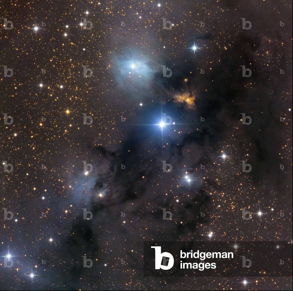 Nebula VDB 123 in Snake - Nebula VDB 123 in Serpens - VDB 123 is a nebula by light reflexion. This region of Serpens contains what is referred to as the Serpens Cloud. It has been cataloged in Herbst, Beckwith, Robberto, 1997 Astrophys. J. This super cloud of dust contains many reflection nebulae, one of which is vdB 123. This is the blue reflection nebula