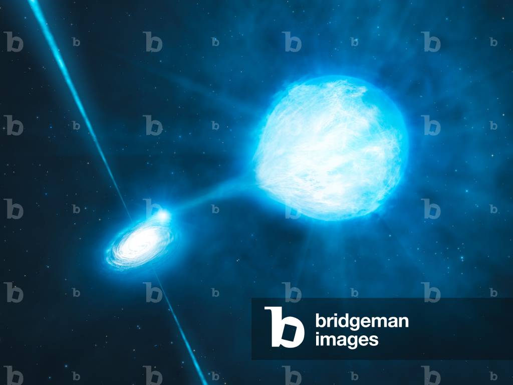 Stellar black hole - Artist's view - A stellar black hole - Artist's view of a system composed of a Wolf-Rayet star orbiting a black hole. A stellar black hole is born from the gravitational collapse of a massive star. The stellar black holes have a mass of some solar masses. A black hole is a region of space whose gravitation is so strong that it will prevent any form of material or radiation from escaping. This artist's impression depicts a star-mass black hole. The black hole has a mass of about twenty times the mass of the Sun and is associated with a Wolf-Rayet star: a star that will become a black hole itself. The black hole is stripping matter away from the star as they orbit each other