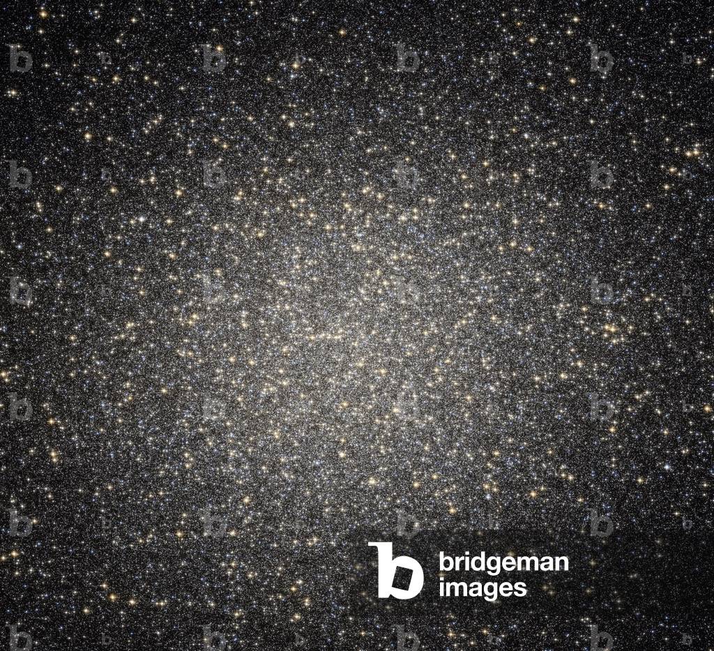 Centaur Omega globular cluster - NGC 5139, Omega Centauri globular cluster - Visible to the naked eye in the southern hemisphere, Centaurus Omega is the most massive globular cluster in the galaxy. About 17,000 light years ago, millions of stars nearly 12 billion years old are concentrated here. This image obtained by the ACS camera of the Hubble space telescope and observations made by the southern Gemini telescope seem to indicate the presence of a black hole in the center of the cluster. NGC 5139 is the largest and most spectacular globular cluster in the entire night sky, and the largest in our galaxy. At 36 arc minutes, Omega Centauri is larger than the full moon in apparent size. It is located about 17,000 light years away from our Sun and at 4th magnitude, is easily visible without a telescope as a “” star”” in the constellation of Centaurus. It contains about 2 million stars, almost twice as many as M13. This composite image obtained with the Advanced Camera for Surveys onboard the NASA/ESA Hubble Space Telescope and data obtained by the GMOS spectrograph on the Gemini South telescope in Chile show that Omega Centauri appears to harbour an elusive intermediate - mass black hole in its centre