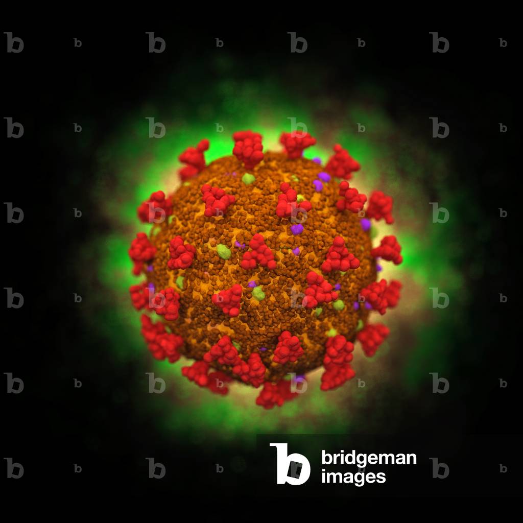 Speculative illustration of a coronavirus