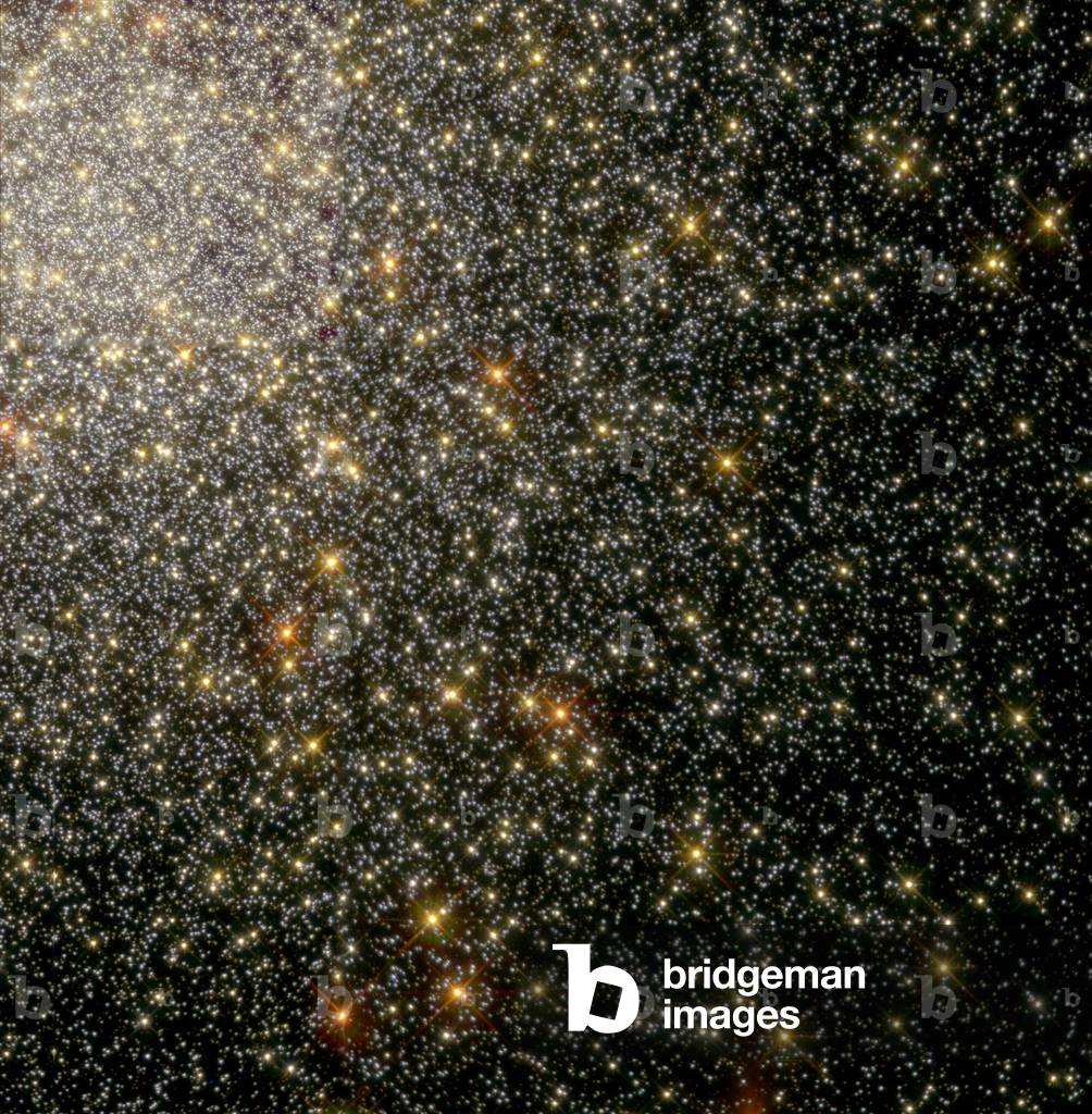 Detail of the globular cluster 47 Toucan - Starfield in the globular cluster 47 Tucanae, NGC 104 - The globular cluster 47 Toucan (or NGC 104) is visible to the naked eye from the southern hemisphere. Located about 15000 years ago - light it contains several million stars, some of which are among the older stars known today. This image obtained by the Hubble Space Telescope shows a detail of this cluster near its center; about 35,000 stars are visible. This image shows the Hubble telescope's close - up look at a swarm of 35, 000 stars near the club's central region. The stars are tightly packed together: They are much closer together than our Sun and its closest stars. The picture, taken by the Wide Field and Planetary Camera 2, depicts the stars' natural colors and tells scientists about their composition and age. For example, the red stars denote bright red giants nearing the end of their lives; the more common yellow stars are similar to our middle - aged Sun