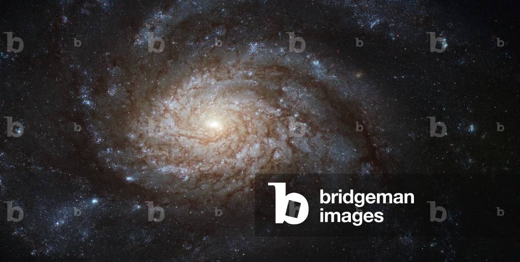 Spiral Galaxy NGC 3810 in the Lion - Spiral galaxy NGC 3810 in Leo - NGC 3810 is a spiral galaxy located at a distance of about 50 million light years in the constellation Lion. Image obtained by the Hubble Space Telescope. The bright galaxy NGC 3810 demonstrates classical spiral structure in this very detailed image from Hubble. The bright central region is thought to be forming many new stars and is outshining the outer areas of the galaxy by some margin. Further out the galaxy displays strikingly rich dust clouds along its spiral arms. A close look shows that Hubble's sharp vision also allows many individual stars to be seen. Hot young blue stars show up in giant clusters far from the center and the arms are also littered with bright red giant stars. NGC 3810 is located about 50 million light - years from Earth in the constellation of Leo (the lion). It was discovered by William Herschel in 1784 and is easily seen as a faint smudge in small telescopes