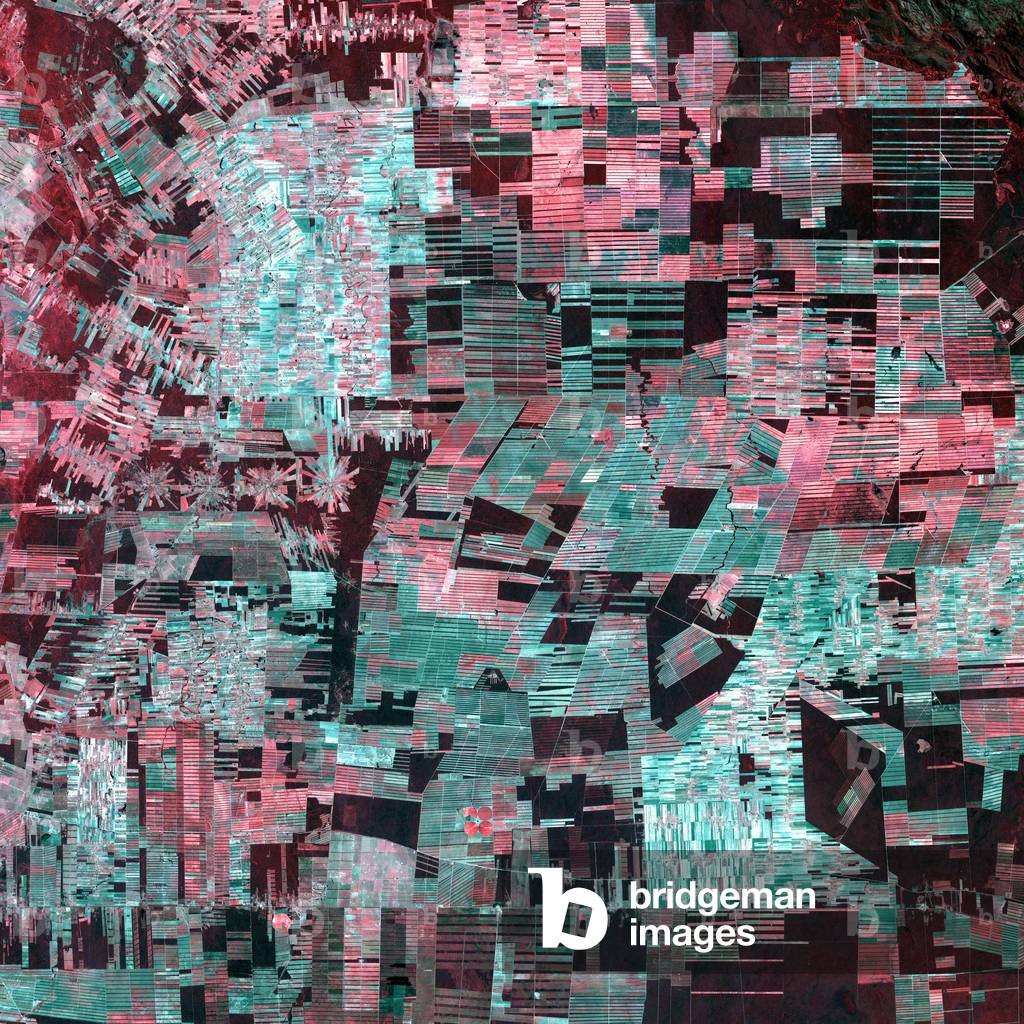 Bolivian deforestation seen by Landsat 7 - The massive deforestation of the Amazon forest seen by the Landsat-7 satellite on 1 August 2000. In red, vegetation still exists