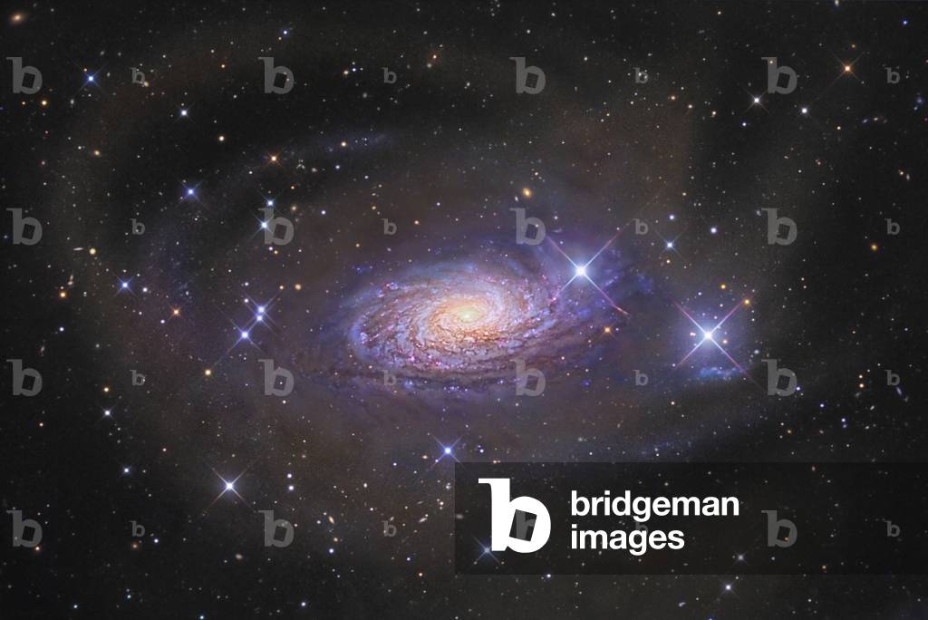 Spiral Galaxy M63 in Hunting Dogs - Spiral galaxy M63 in Canes Venatici - The spiral galaxy M63 (NGC 5055) is located about 35 million years ago - light from Earth. In this image obtained with a 50 cm telescope, the halo around the galaxy is visible and shows a stream of stars from a dwarf satellite galaxy. M63 (NGC 5055) is a spiral glaxy in the contellation Canes Venatici at about 35 million light - years from Earth. Visible in this image is a very faint, giant arc - loop feature in the halo of the galaxy Messier 63; this feature is the stellar stream of a disrupted dwarf satellite galaxy