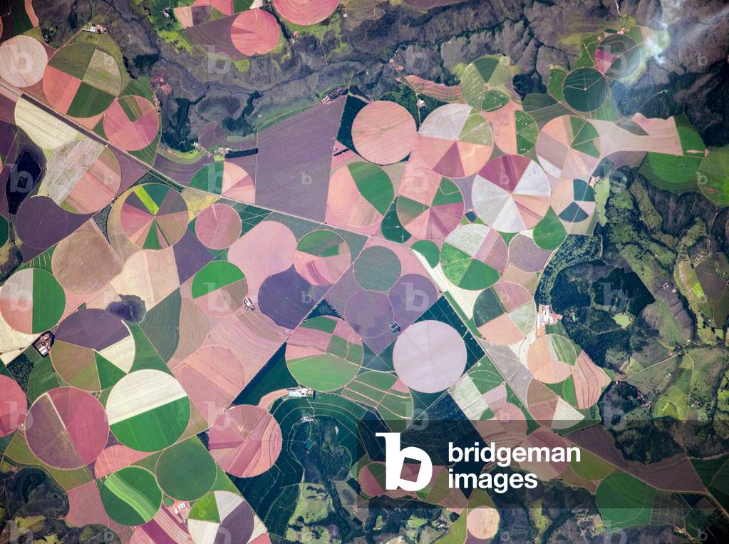 Agriculture in Brasil (photo)